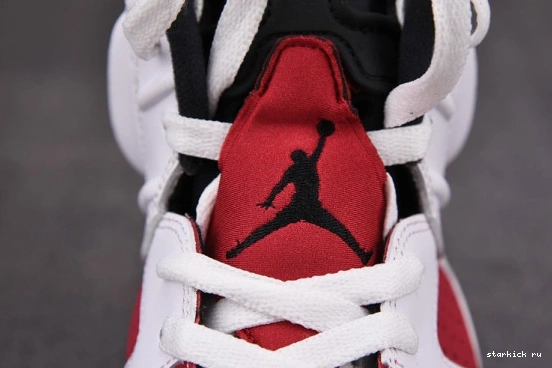 Carmine Retro Jordan Air CT8529-106 (2021) CT8529-106 6 0823